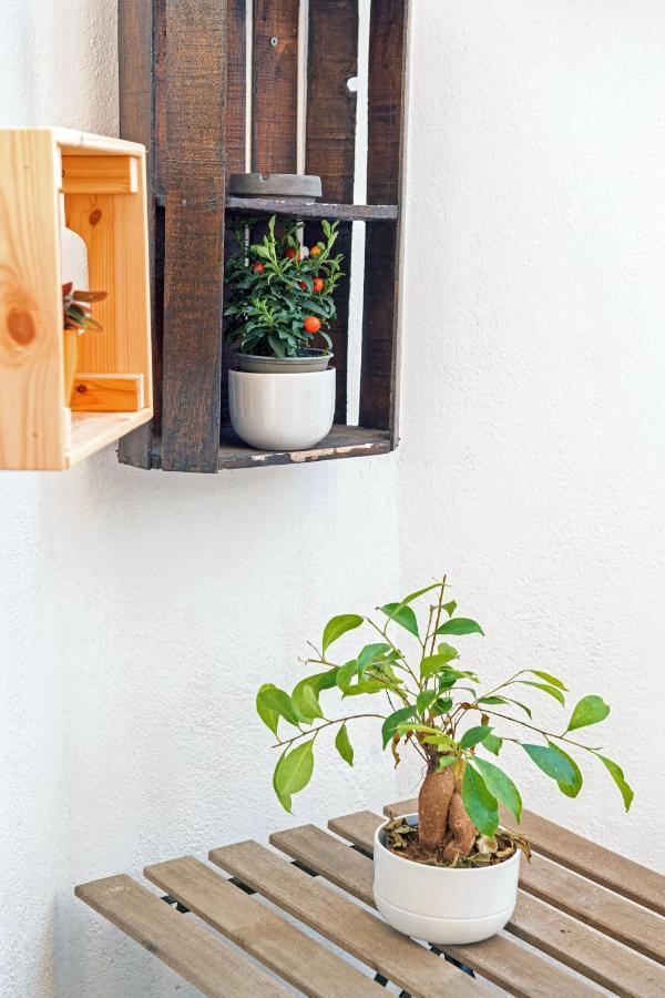 B&Bea Sweet Home Aurelia Ρώμη Εξωτερικό φωτογραφία